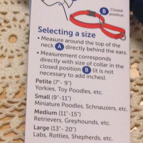 Dog Accessory, Martingale Collar, PetSafe brand, NWT - Picture 5 of 6
